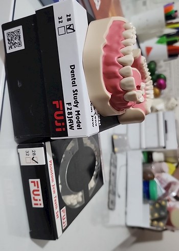 Beden fuji fantom çene (28li)
