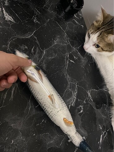  Beden Renk Kedi oyuncağı