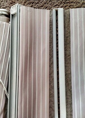  Beden Zebra stor perde 