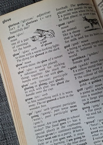 Longman New Junior İngilizce Sözlük - Görsel 6