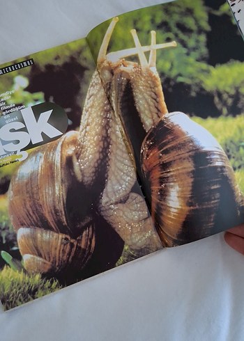 Microcosmos: Çayırın Sakinleri Kitabı - Görsel 5