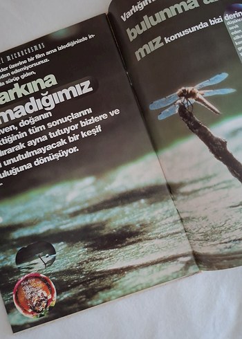 Microcosmos: Çayırın Sakinleri Kitabı - Görsel 3