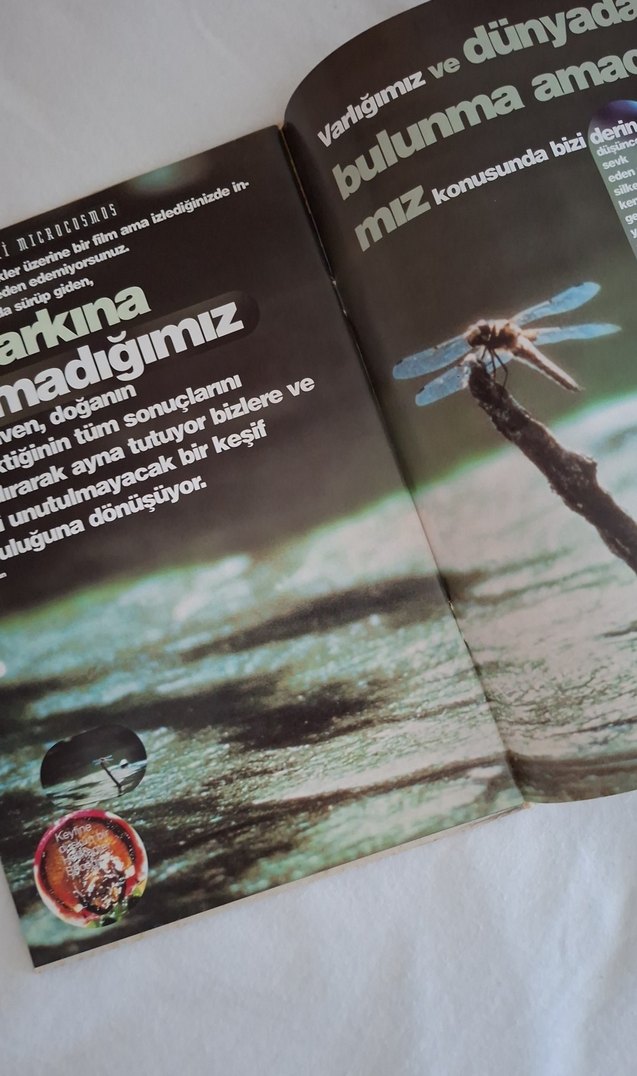 Microcosmos: Çayırın Sakinleri Kitabı - Görsel 3