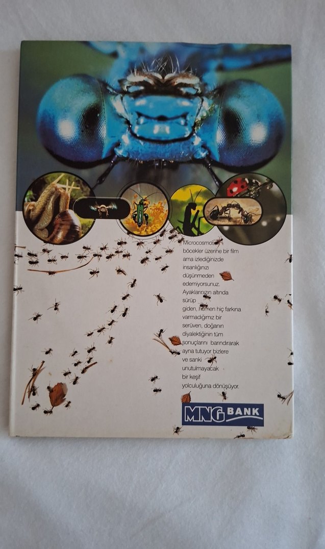 Microcosmos: Çayırın Sakinleri Kitabı - Görsel 2