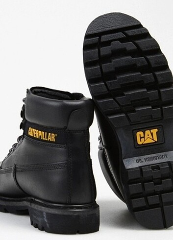 Cat Cat bot