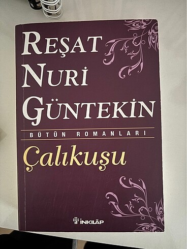 Çalıkuşu romanı