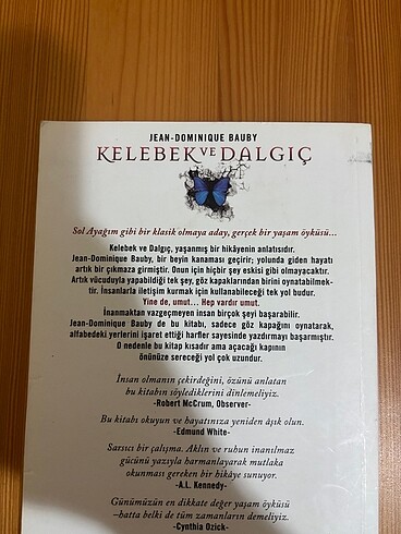 Kelebek ve dalgıç kitap