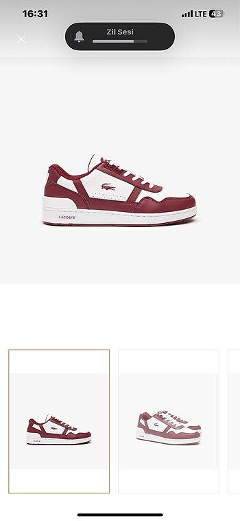 Lacoste kadın ayakkabı