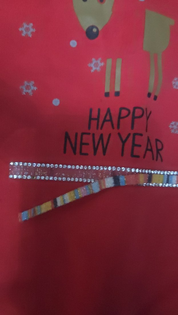 Kız Çocuk Kırmızı Baskılı Sweatshirt - Görsel 2