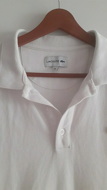 Lacoste Polo yaka tshirt