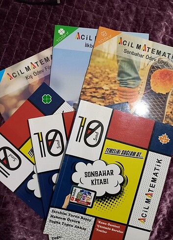 Acil matematik 10.sınıf föyleri 