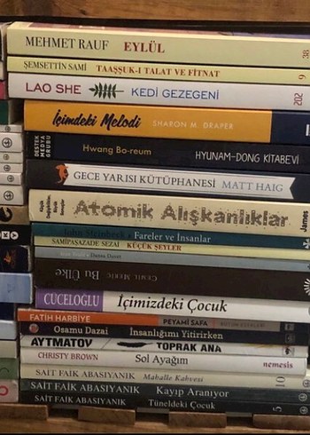 Çeşitli Klasik ve Modern Romanlar