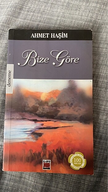 AHMET HAŞİM BİZE GÖRE