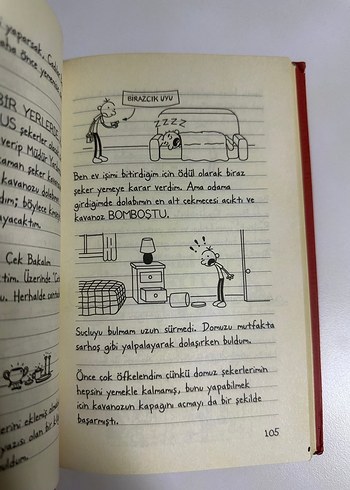 Saftirik Greg'in Günlüğü - Karışık İşler Bunlar! - Görsel 2