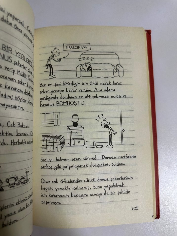 Saftirik Greg'in Günlüğü - Karışık İşler Bunlar! - Görsel 2