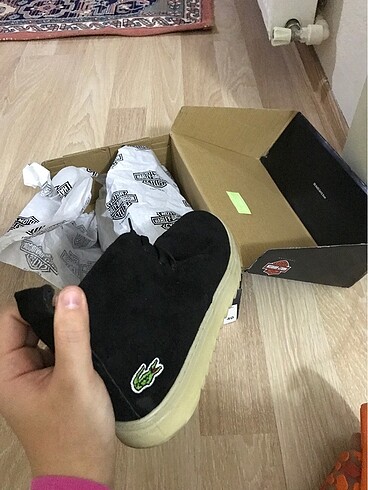 Lacoste Lacoste bot