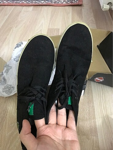 40 Beden Lacoste bot