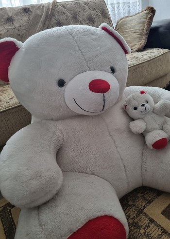 Büyük Ayıcık ve yavrusu - Görsel 2