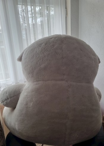 Büyük Ayıcık ve yavrusu - Görsel 3