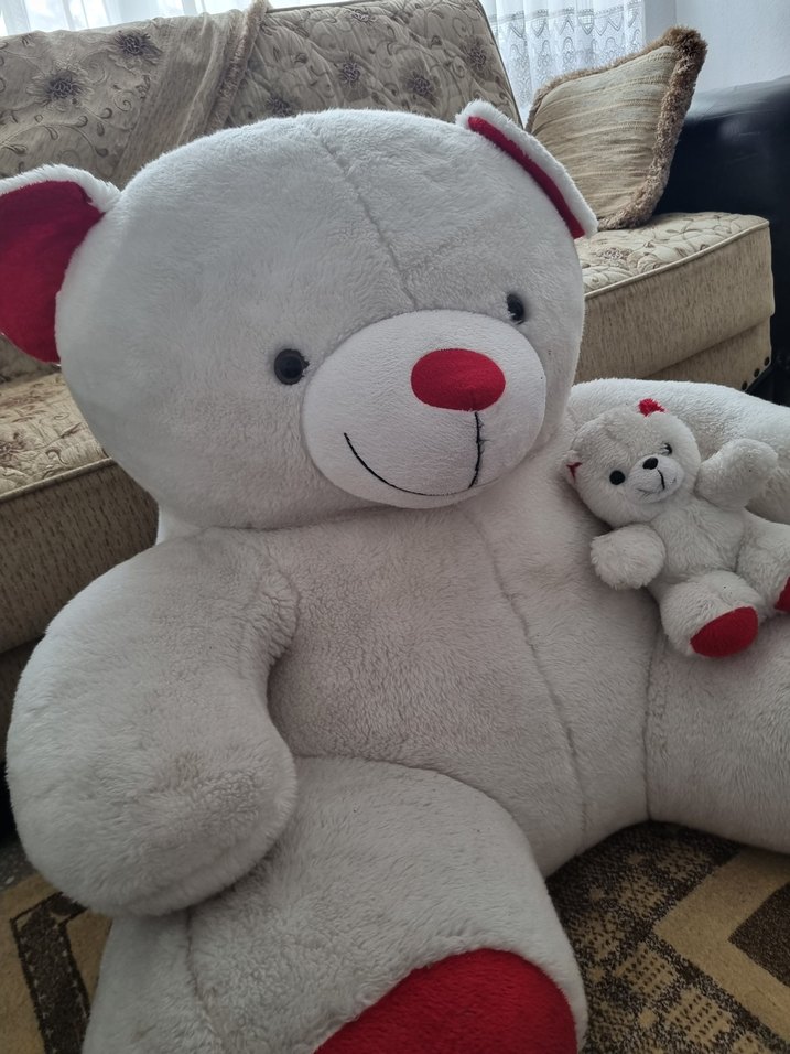 Büyük Ayıcık ve yavrusu - Görsel 2