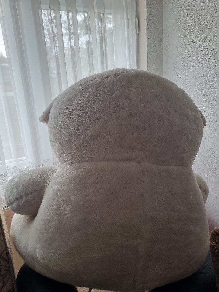 Büyük Ayıcık ve yavrusu - Görsel 3