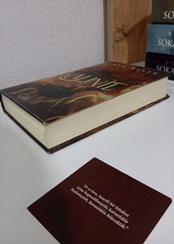 Beden Ceren Melek - Kalıntı serisi