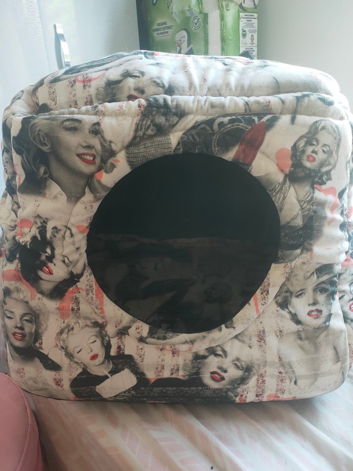 Gri Marilyn Monroe Desenli Kedi Evi - Görsel 4
