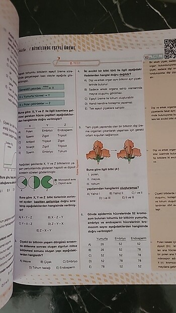  Palme AYT Biyoloji Soru Kitabı 