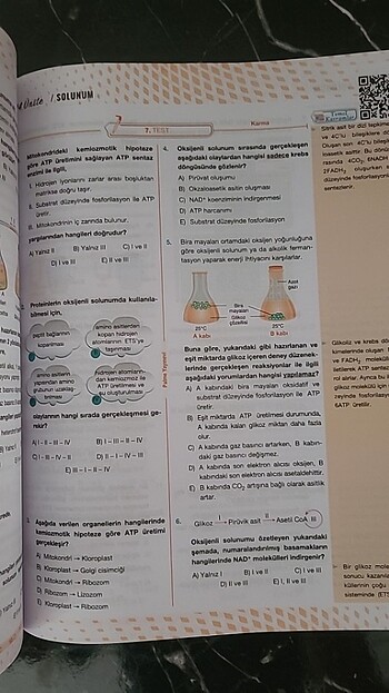  Beden Palme AYT Biyoloji Soru Kitabı 