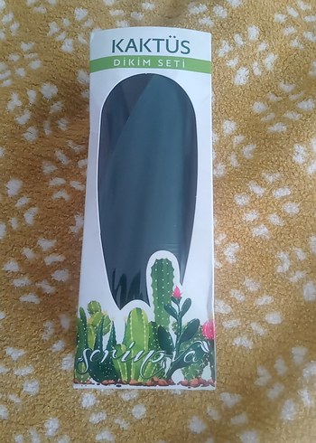 Kaktüs dikim seti - Görsel 2
