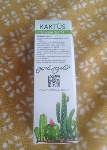 Kaktüs dikim seti - Görsel 3