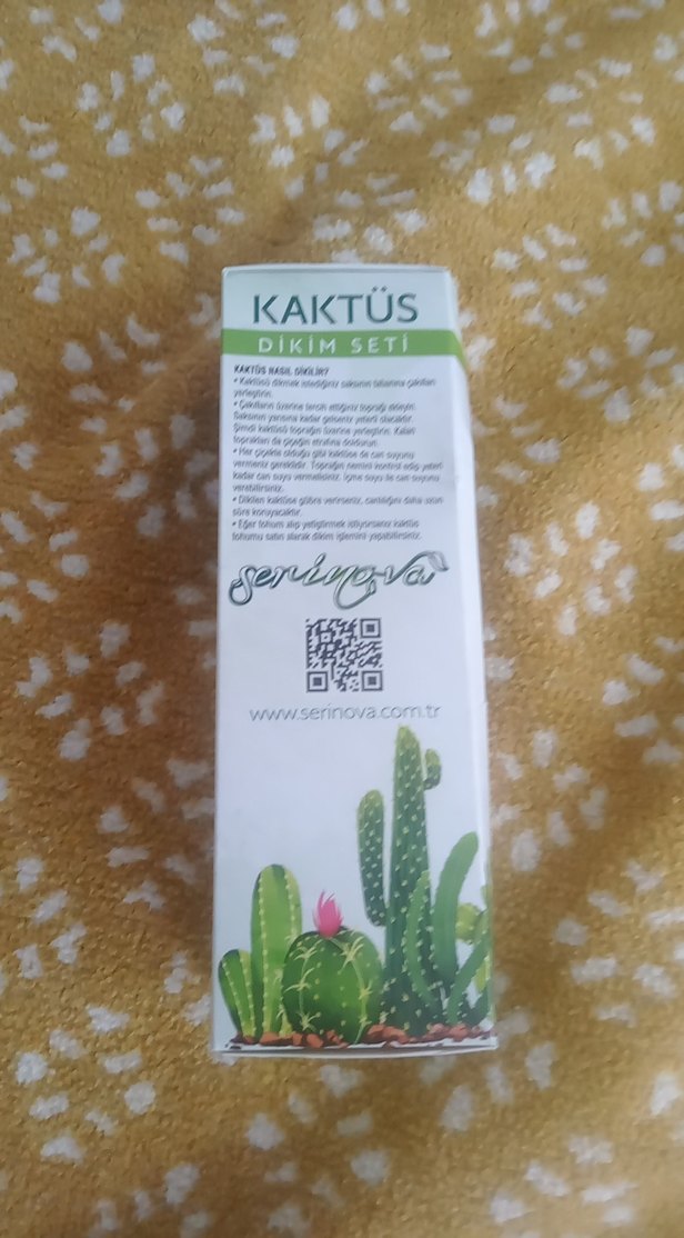 Kaktüs dikim seti - Görsel 3