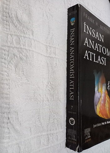  Beden Netter İnsan Anatomisi Atlası 7.Baskı