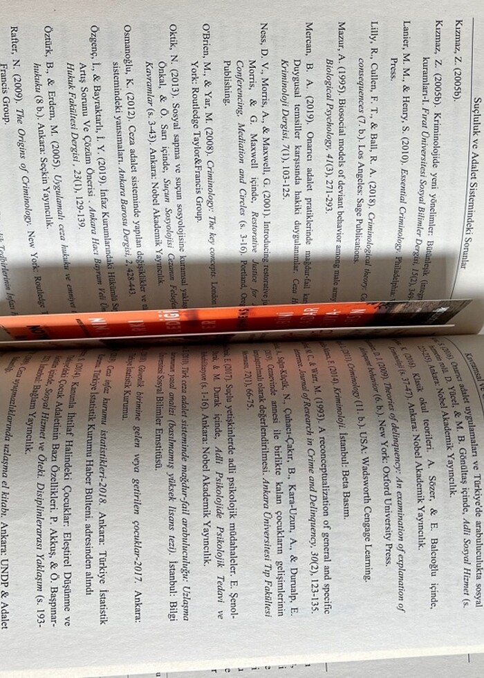 Sosyal sorunlar - Görsel 3