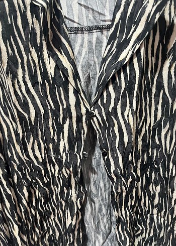 Kadın Siyah Zebra Desenli Uzun Kollu Gömlek - Görsel 2