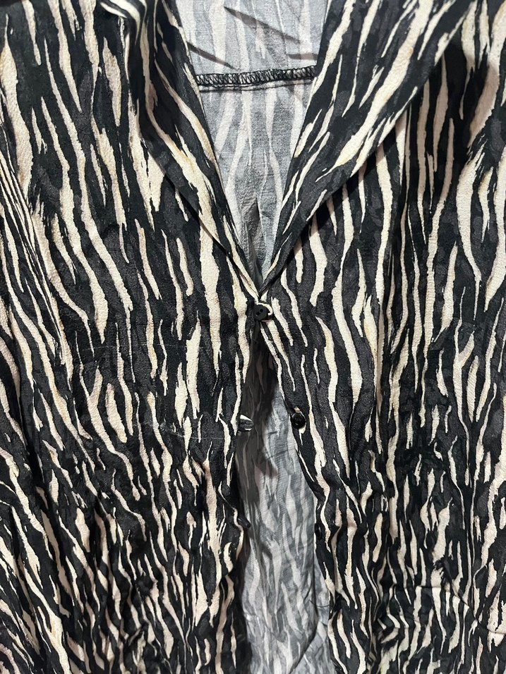 Kadın Siyah Zebra Desenli Uzun Kollu Gömlek - Görsel 2