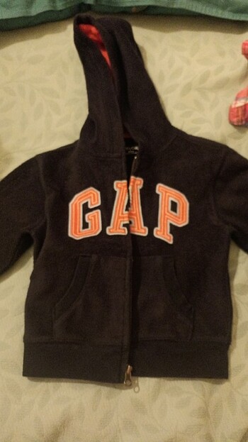Gap 18-24 Ay
