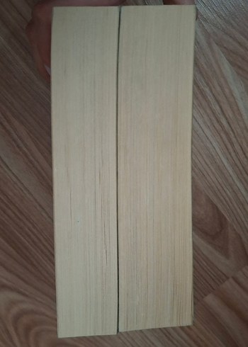 Lordlar ve Varisler & Krallar ve Soytarılar - N.G. Kabal - Görsel 4