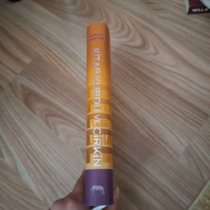 Kitap Kurdu ve Çirkin - Ashley Poston - Görsel 5