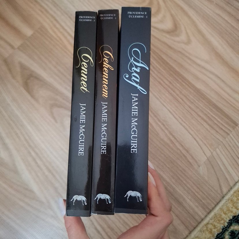 Jamie McGuire Providence Serisi 3 Kitap - Görsel 3