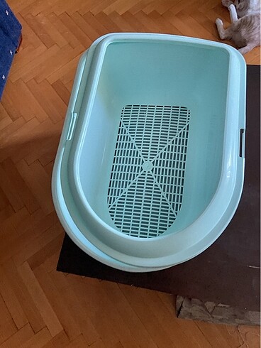 Elekli kedi tuvaleti