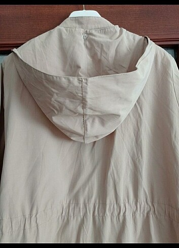 Tepreç pardusu  - Görsel 6