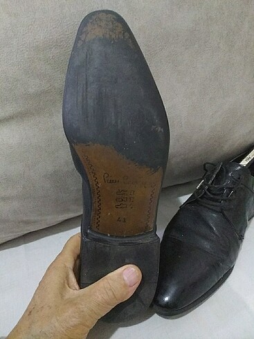 Pierre Cardin Pierre Cardini
