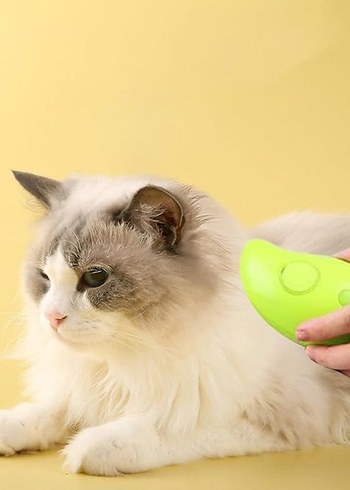 BUHARLI KEDİ TARAĞI - Görsel 6