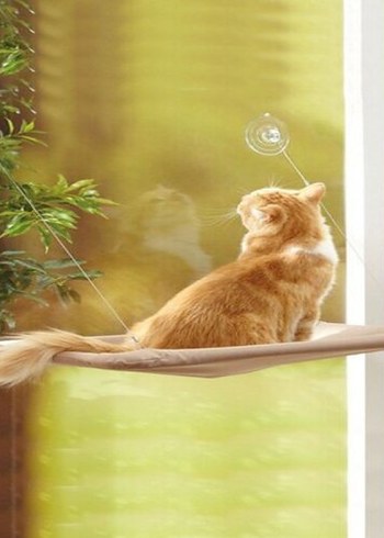 CAMA ASILAN KEDİ YATAĞI

Ürün Ölçüleri - Görsel 2