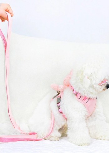 EVCİL HAYVAN PELUŞ AYICIKLI GÖĞÜS GEZDİRME TASMASI SETİ - Görsel 4