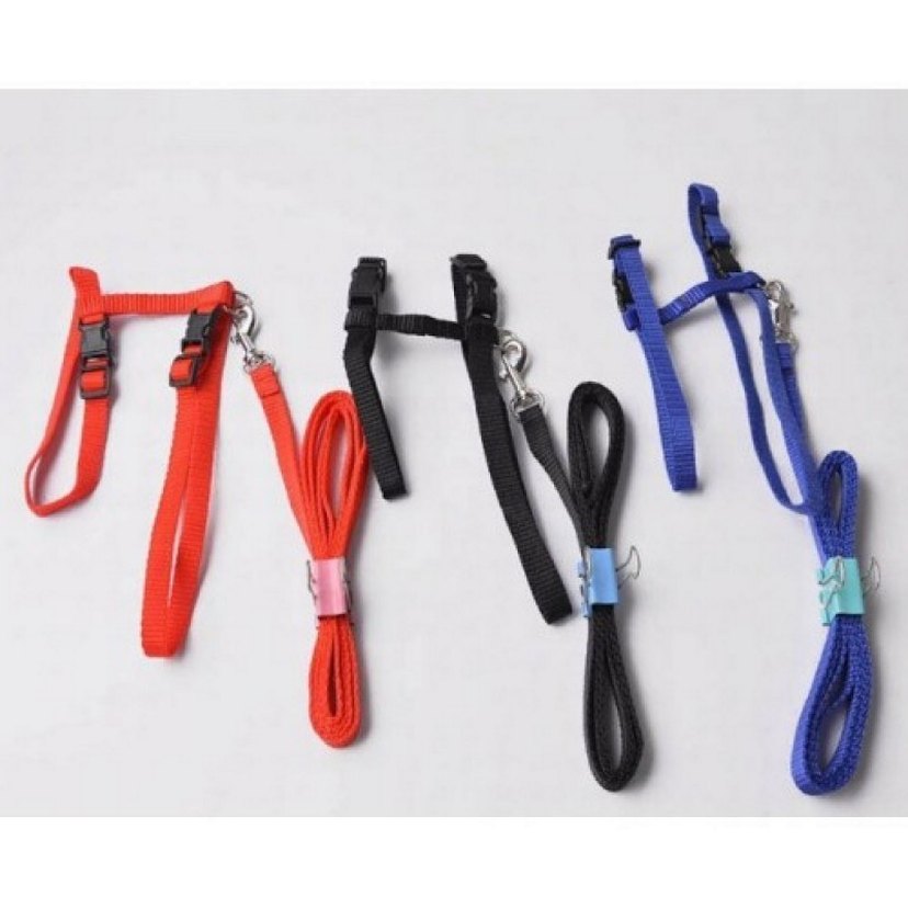 Kedi Boyun ve Göğüs Tasması - Görsel 3