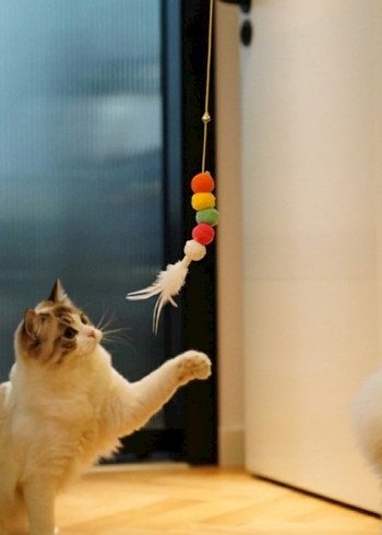 Elastik Yapışkanlı Kedi Oyun Oltası - Görsel 5