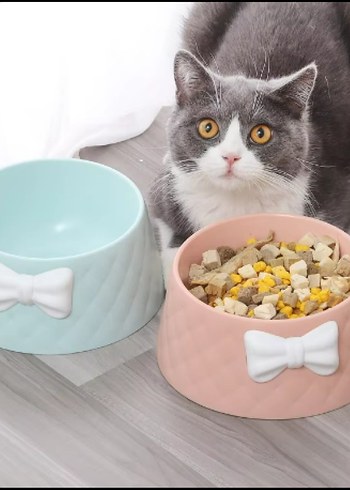 Mikopet Şık Desenli Fiyonklu Mama Kabı - Görsel 3