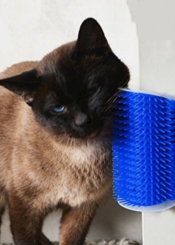 Kedi Kaşınma Aparatı - Görsel 3